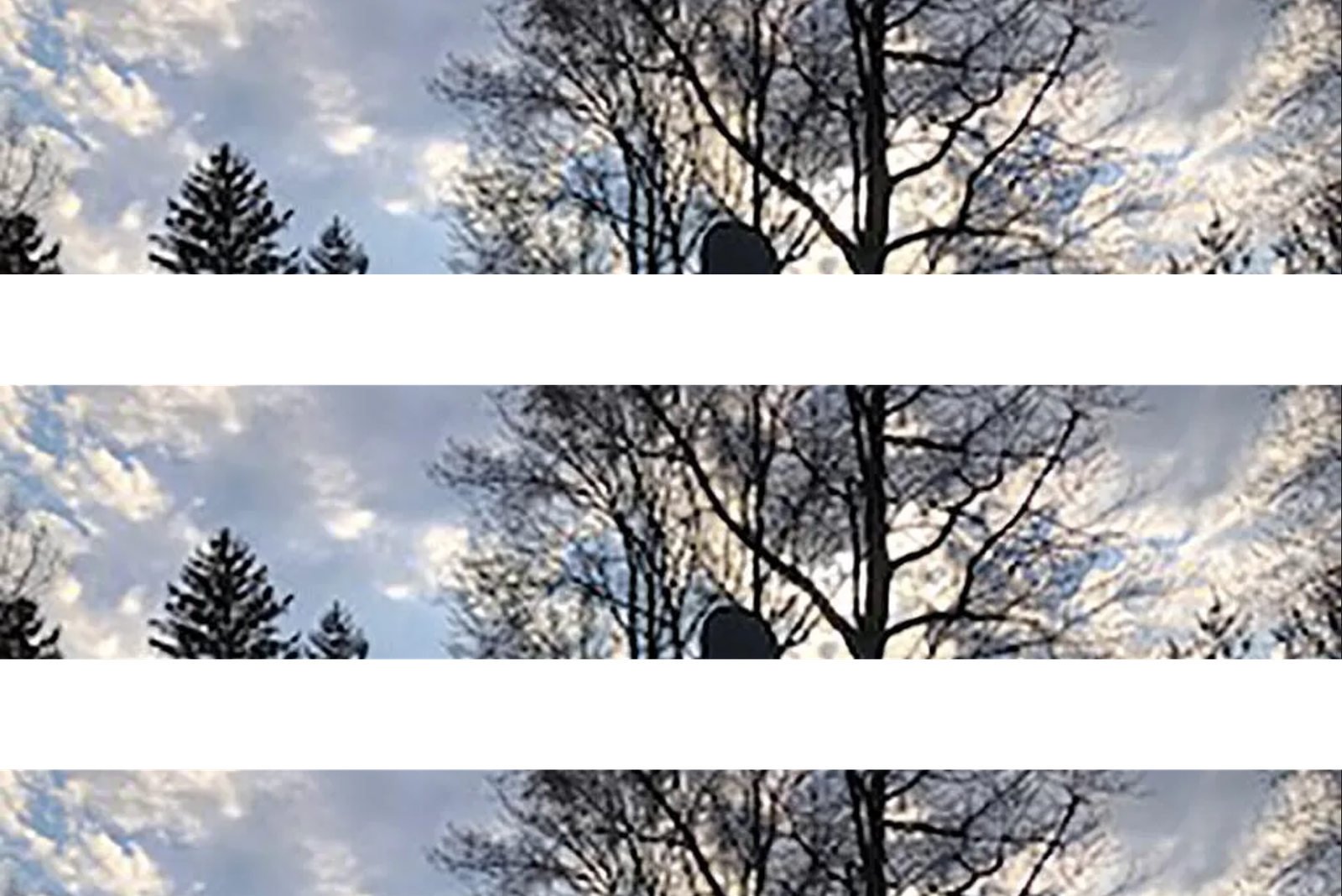Screenshot 2024-06-15 at 12.50.14 AM
